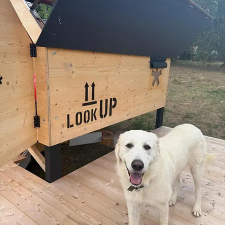 Starsbox Orto Del Marinaio *